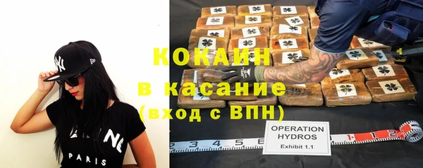 трава Инта