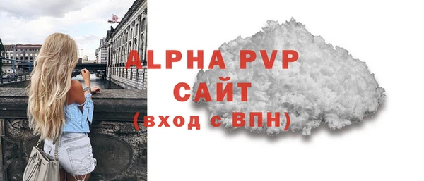 индика Каменск-Шахтинский