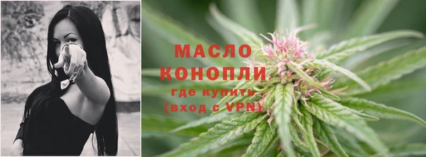 трава Инта