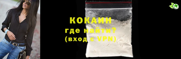 индика Каменск-Шахтинский