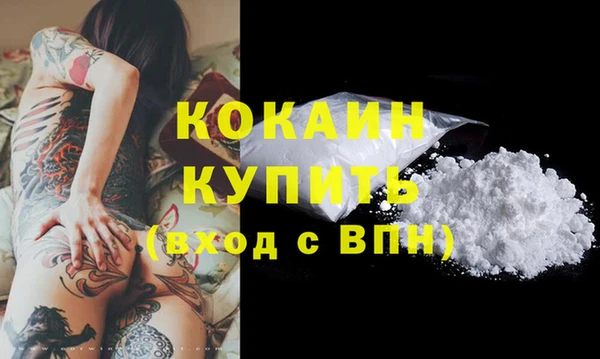 индика Каменск-Шахтинский